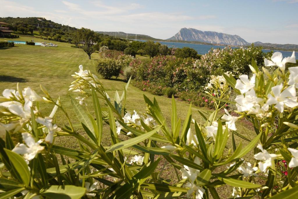 Due Lune Puntaldia & Golf Hotel San Teodoro (Sardinia)